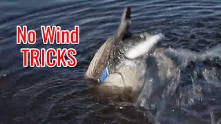 Motion Decoys that Fool Ducks on Calm Days