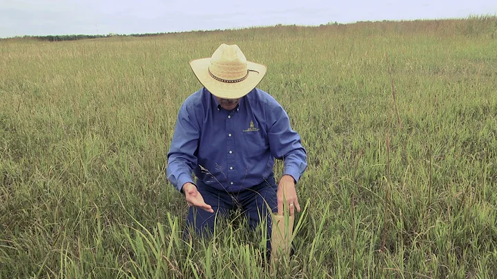 Mineral Content Sampling That Matches Pasture Grazing