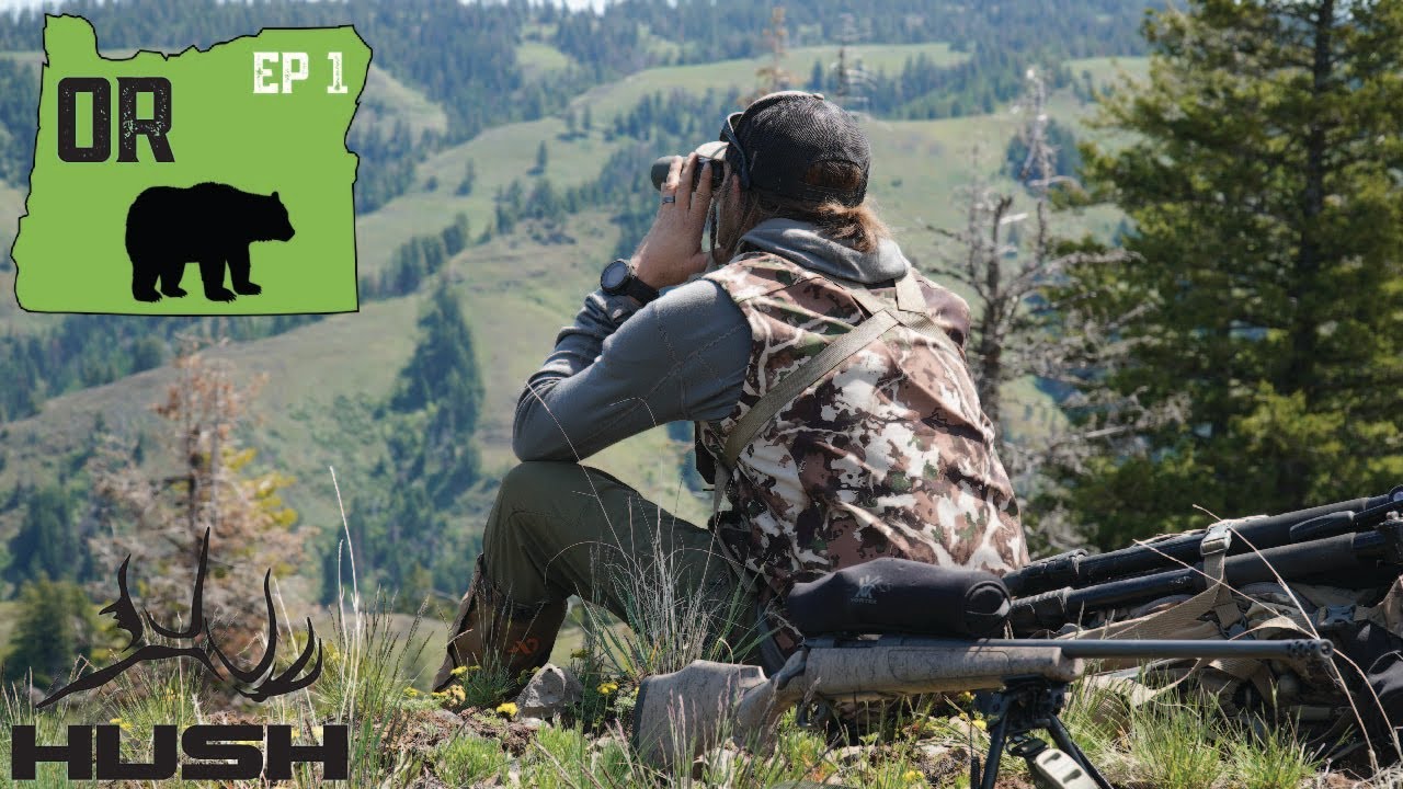 OREGON SPRING BEAR HUNT! DAY 12 YouTube