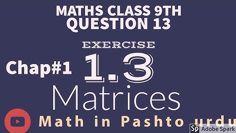 Maths class 9th chapter 1 matrices exercise 1.3 question 13