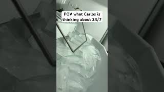 Pov What Carlos Is Thinking About 247