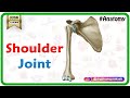 Shoulder joint Anatomy - Ligaments, Movements, Blood supply , Nerve supply and Clinical anatomy