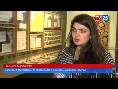 დღეს ბიომრავალფეროვნების საერთაშორისო დღე აღინიშნება