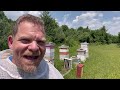 4th of July Beekeeping