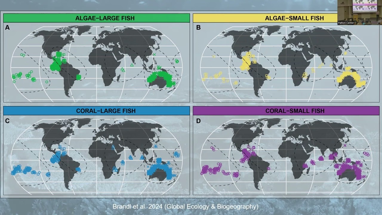 Public Lecture Series 2025 - Simon Brandl