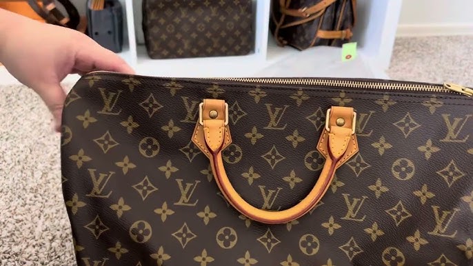 Comparison // WIMB // Louis Vuitton Delightful GM + MM