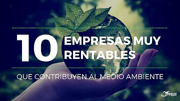 ¿Cómo pueden las empresas volverse ecológicas?