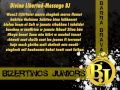 Divina Libertad 04 Message BJ