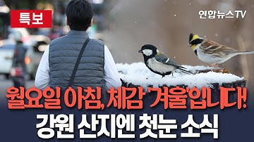 [🔴특보] "두꺼운 옷 챙기세요"…월요일 초겨울 추위, 서울 5도·강원 산지엔 곳곳 첫눈 소식 / 연합뉴스TV(YonhapnewsTV)