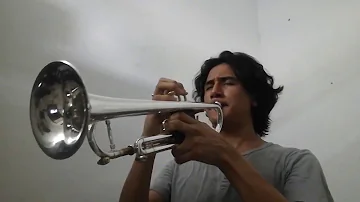 Cuco - lo que siento trumpet solo cover