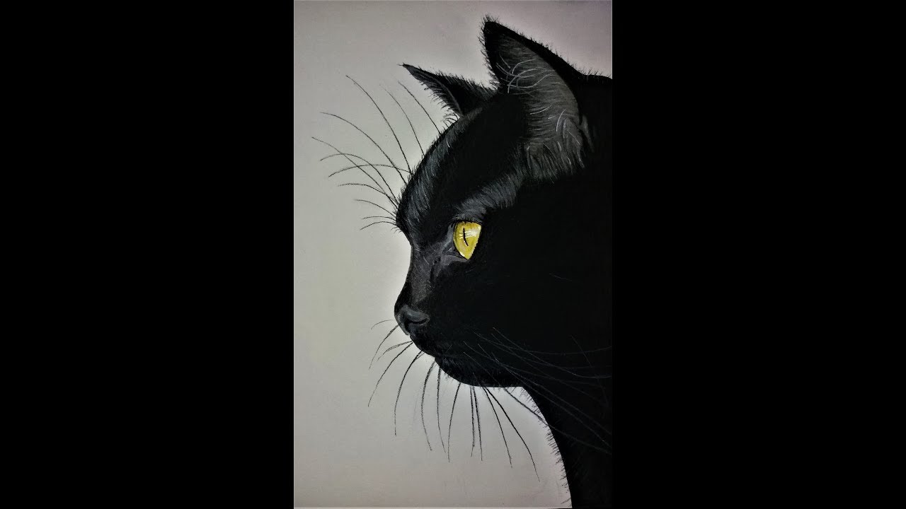 Dessiner Un Chat Noir Realiste Draw Realistic Black Cat Youtube