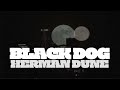 Capture de la vidéo Black Dog - Herman Dune - Official Video