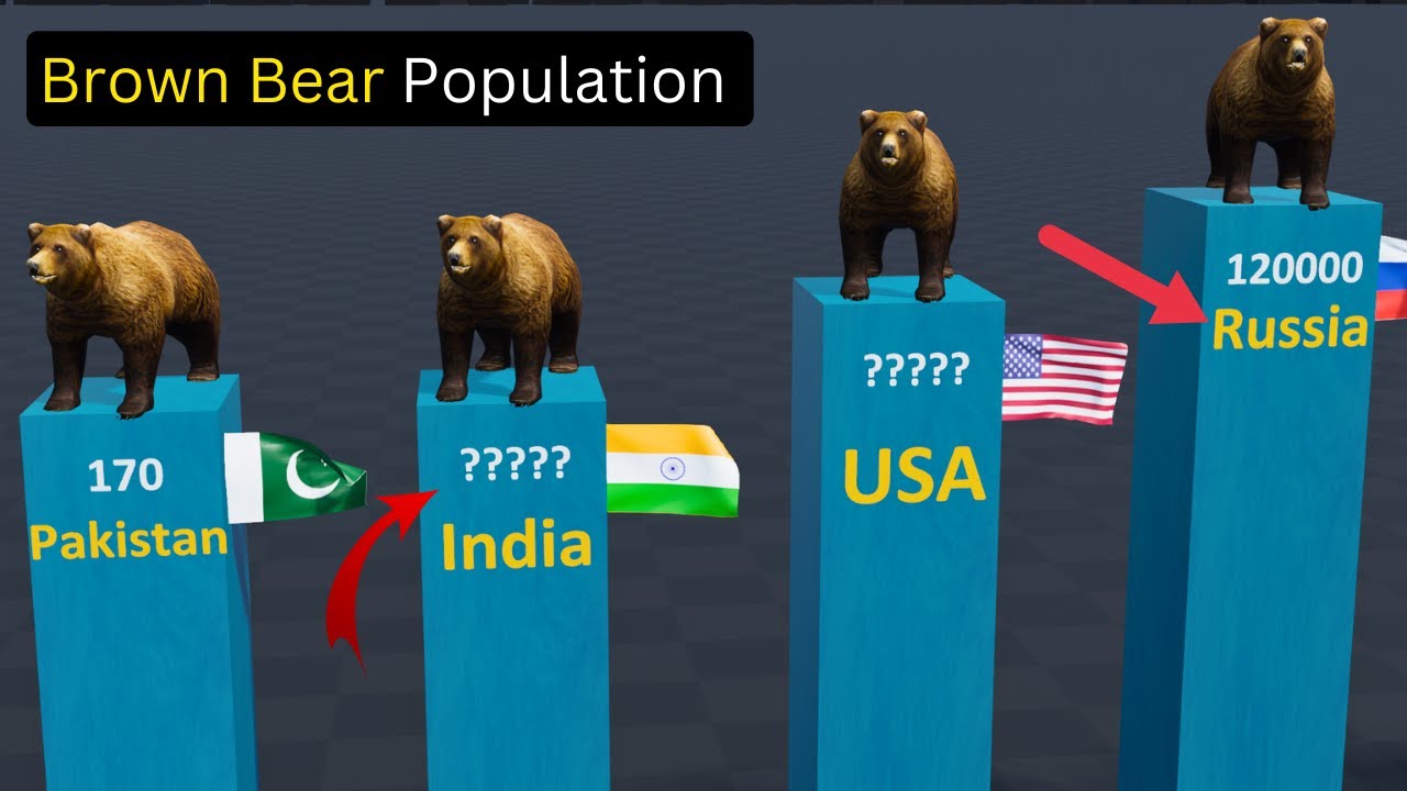 Brown Bear Population By Country 2023 YouTube Brown Bear Population By Country 2023 YouTube