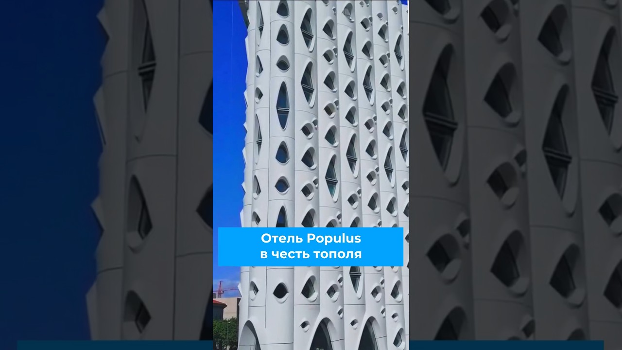 Отель Populus в честь тополя в Денвере 