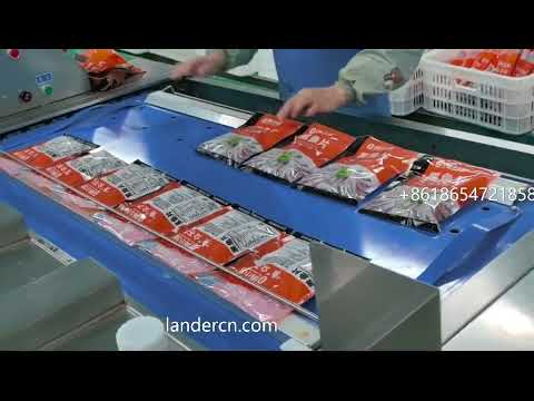 Belt type continuous vacuum packaging machine for meat, fish, seafood, cheese