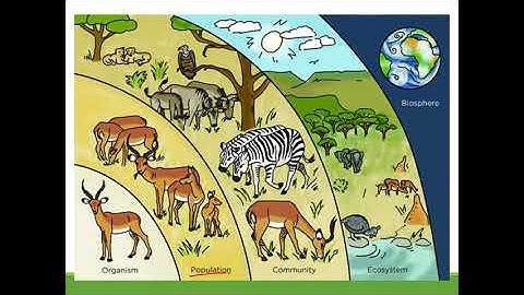06A   Population growth models