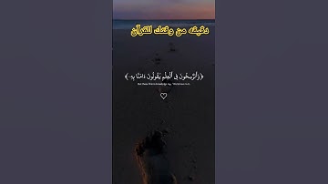 القارئ عبدالرحمن مسعد #اكسبلور #لايك #القرآن_الكريم #عبدالرحمن_مسعد