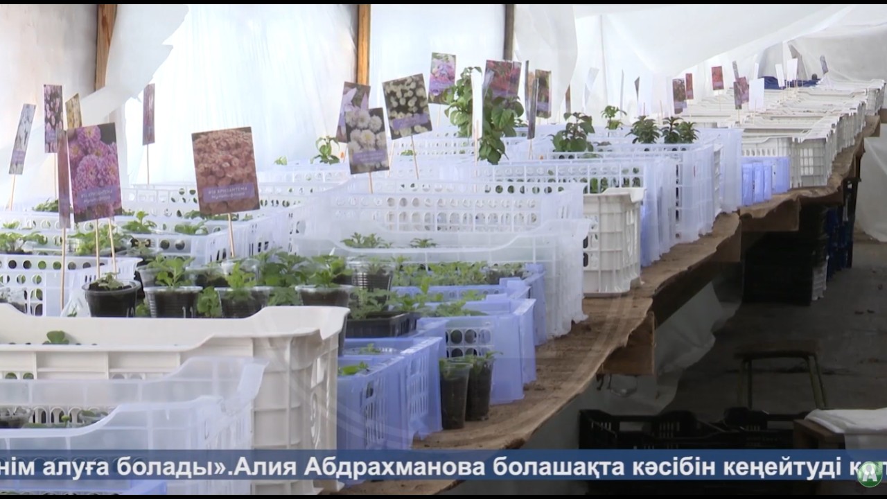 Жаңалықтар - 25.02.26