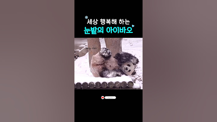 판다가 눈을 만나면 벌어지는일!!❄️(더울때 봐야 제맛)|#Shorts#푸바오#아이바오#러바오