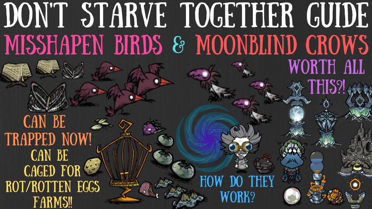 Don't Starve Together Guide: Misshapen Birds And Moonblind Crows - YouTube