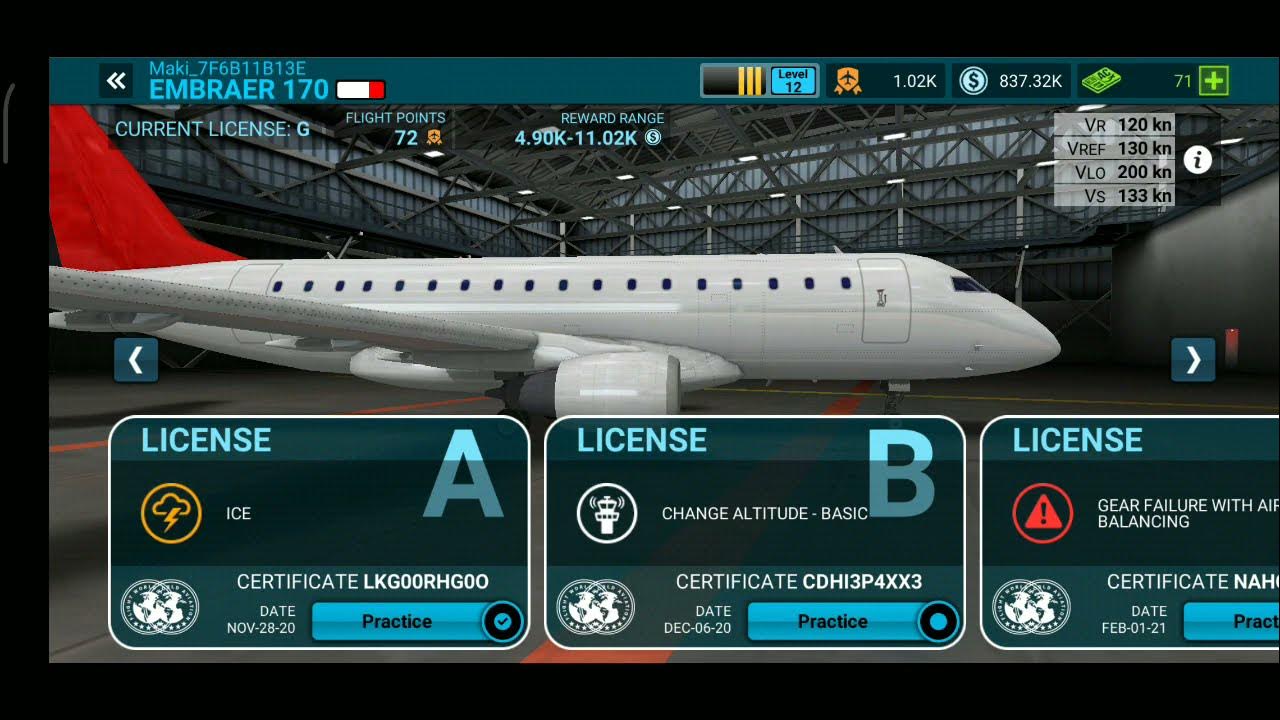 Airline commander Change Altitude Embraer 170 License B Flight