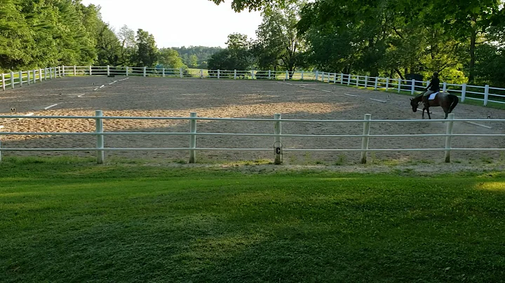 Lindsay Trimble Walk Trot Test A
