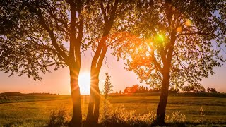 For the Love of a Princess ( From Braveheart)  -  Hauser & London Symphony Orchestra