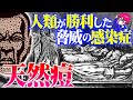 7000万人の被害 天然痘 驚愕の感染症に人類が勝利した 閲覧注意 感染症シリーズ 7000万人の被害 天然痘 驚愕の感染症に人類が勝利した 閲覧注意 感染症シリーズ