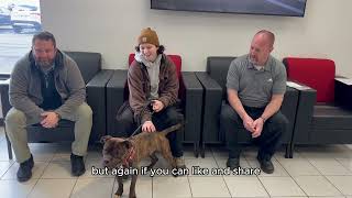 Meet O'Malley: Adoption Tuesday by Williams Toyota Of Binghamton 74 views 2 months ago 2 minutes, 34 seconds