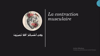 la contacrtion musculaire I التقلص العضلي