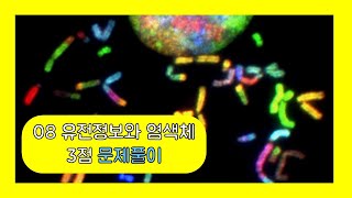 2024 수능특강_08 유전정보과 염색체 문제풀이(3점)