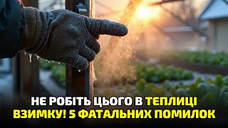 видео: Теплиця взимку без опалення — як я зробив це і отримав урожай у мороз! картинка: Теплиця взимку без опалення — як я зробив це і отримав урожай у мороз!