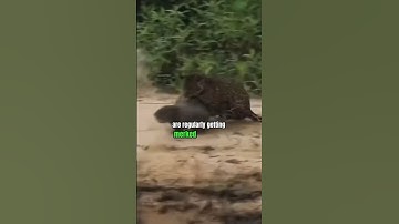 Why Don