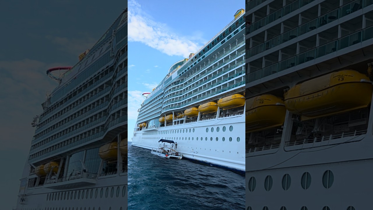 Navigator of the Seas #royalcaribbean #cruise #california #loscabos #ytshorts #cruiseship #mexico