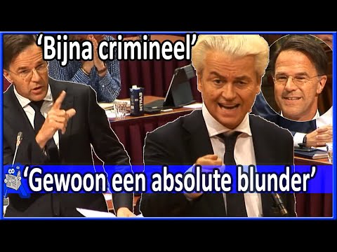 Video: Tijger Bovenaan Britse Hitlijsten