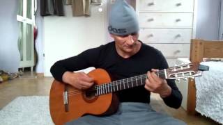 Video thumbnail of "Pink Floyd: Mother - Acoustic Guitar Lesson with Lyrics and Chords -"