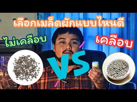 วิธีเลือกเมล็ดผัก เคลือบหรือไม่เคลือบ? #เมล็ดผัก #วิธีการเลือกเมล็ดผัก #ผักสลัด #ปลูกผักกินเอง วิธีเลือกเมล็ดผัก เคลือบหรือไม่เคลือบ? #เมล็ดผัก #วิธีการเลือกเมล็ดผัก #ผักสลัด #ปลูกผักกินเอง