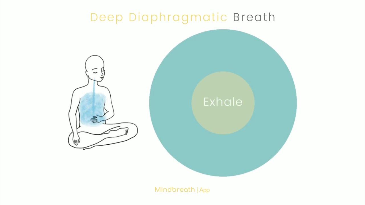 Deep Diaphragm Breathing Exercise 1minute breathing technique