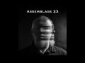 Assemblage 23 Opened Back And To The Left Remix