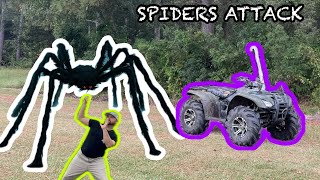 GIANT SPIDER Tries To Steal Our Fourwheeler While Mudding