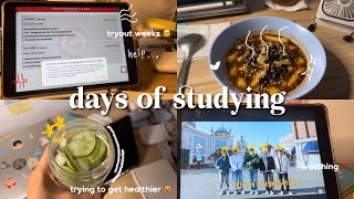 study vlog  : ‼ preparation for uni exam ‍, stressful weeks for studying | Indonesia