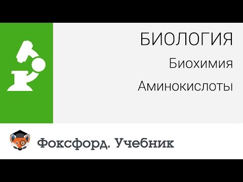 Биология. Биохимия. Аминокислоты. Центр онлайн-обучения «Фоксфорд»