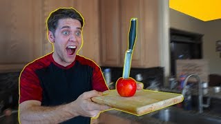 REAL LIFE TRICK SHOT HORSE!