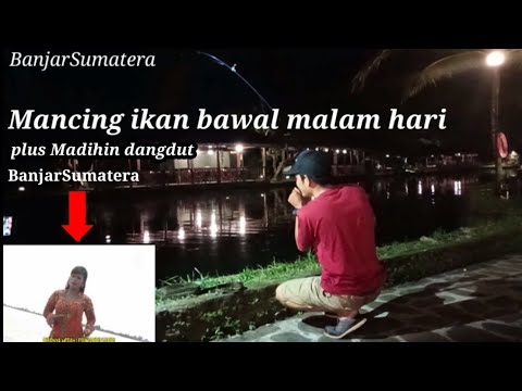 Dokumentasi Mancing Ikan Bawal Malam Hari + Madihin Dangdut