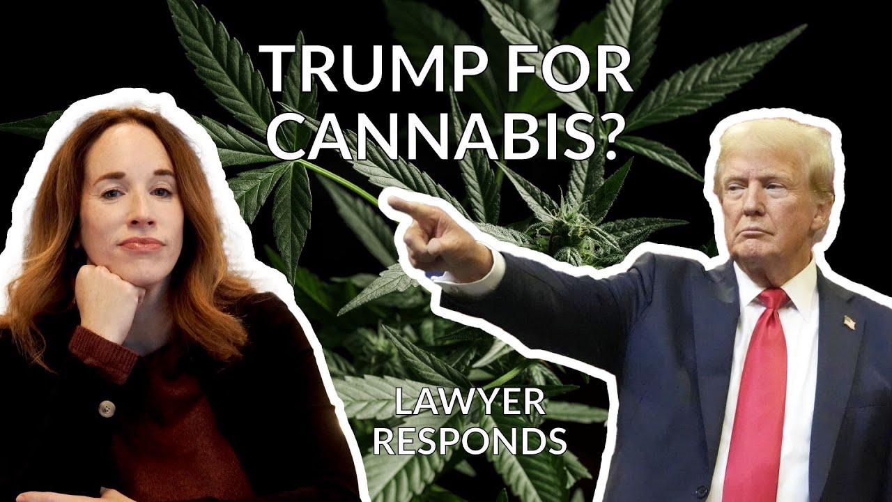 What does a Trump Presidency mean for Hemp and Cannabis?