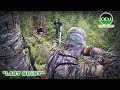 Incredible Canadian Archery Black Bear Hunt