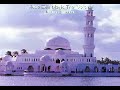 فمبلغ العلم فيه انه بشر وانه خير خلق الله كلهم صل الله عليه وسلم