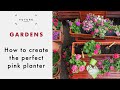 How to Create the Perfect Pink Planter | GARDENING