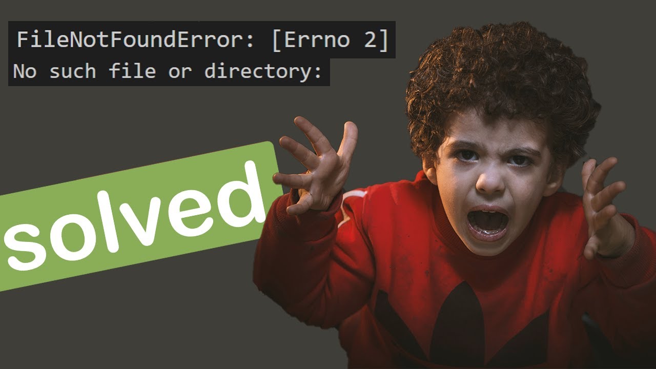 Errno t c. No such file or Directory питон. Errno 2 no such file or Directory Python.