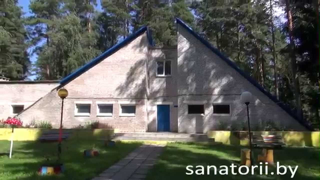 Налибокская пуща детский санаторий отзывы Налибокская пуща детский санаторий отзывы